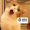 sanng04