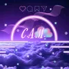 _.ca.m._