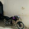 tiger2ribu_0311