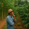 sau_farm