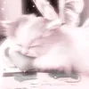 kaede._.0904_