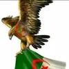 nadir.nadir963