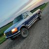 bluef250_7.3