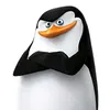 felix_shrimp2