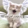 ssoft_housee