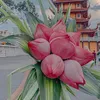 yenhoag63