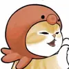 akimiyaya