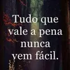 carlotaalmeida520