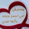 nourdinekhaba