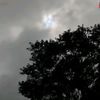 m.rjjai18