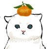 whoisa.bril