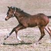 rachelalexandra09
