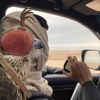 فيصل الغفيلي ،