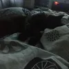 thatrandomdude018