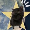 fan_de_millie_bobby_b