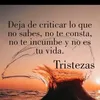 adadas_23
