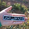 dy2kw38nl9wl
