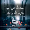 ramaliza5