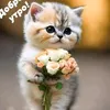 lifehere_andnow.1234