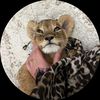 iilii_03