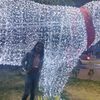 eldagelvez8gmail.comgelv