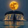marsel777__