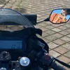 powkytoo
