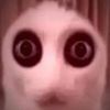 s._.o._.r._.r._.y._.._.2