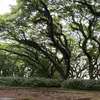 pengguna_sekitar636