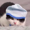 cutecatsanimal