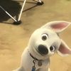 wafflexwooofss
