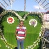 user313023307536