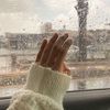 halaalshabi5