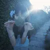 xoomaiii_