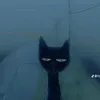 jirom_0