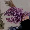 _ai_say_
