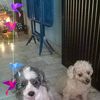 user77838026660117
