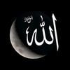 adammostafa9398