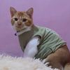 willy_oyen10