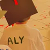 alymahmoud55