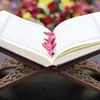 rubinarasheed651