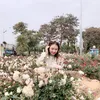 lanmai270295
