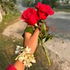 mdmonirhossain3878
