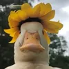 thisisaweirdapp0