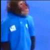 mr_monkey.w