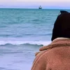 sohasiham6