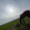 rayansport22