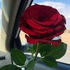 malik8613861833491