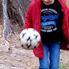 joaquinsuarez49