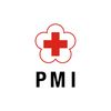 pmisumsel
